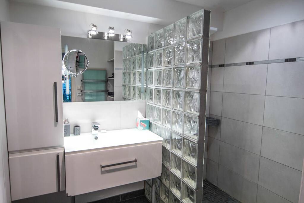 Appartement Avec Jardin Interieur 4 Pers Centre Ville Nemours Exteriör bild